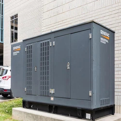 Commercial generator