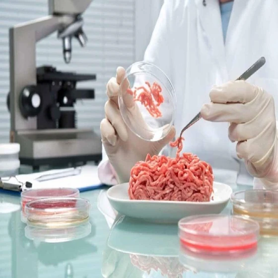 meat-testing-services-2.webp