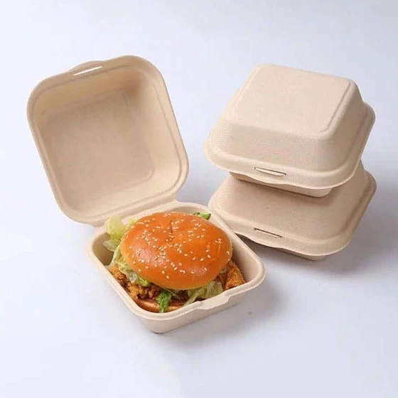 biodegradable-burger-box-1.webp
