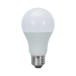 Electric LED Bulb