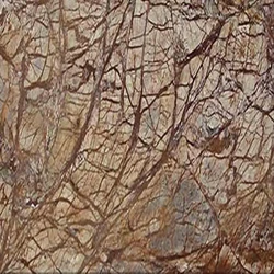 Exotic Golden Rainforest Brown Marble Medium Dark Shade