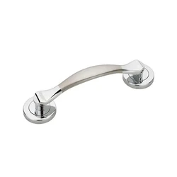 Silver Door Handle