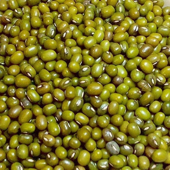 green-gram-dal-2.webp