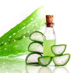 Aloe Vera Oil
