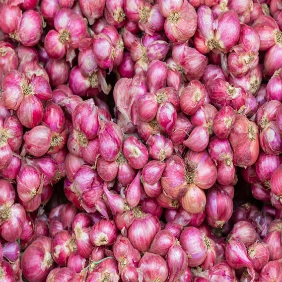 red-onion-2.webp