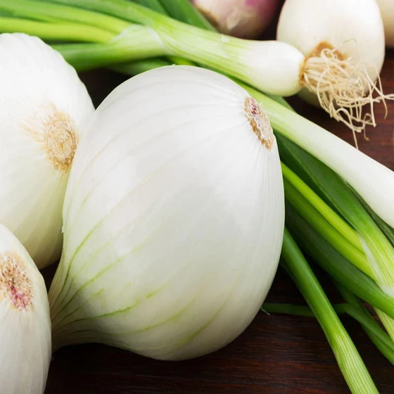 white-onion-1.webp