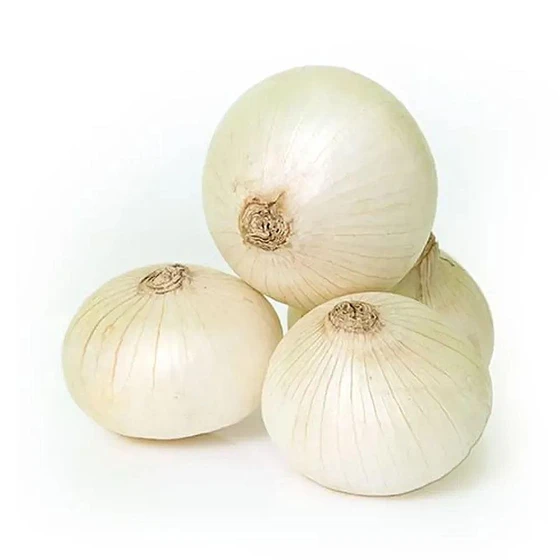 white-onion-2.webp