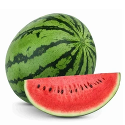Fresh Watermelon Fruit