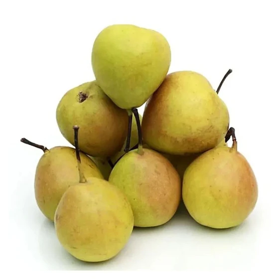 fresh-pears-fruit-1.webp