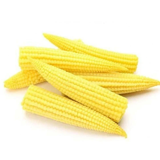 baby-sweet-corn-2.webp