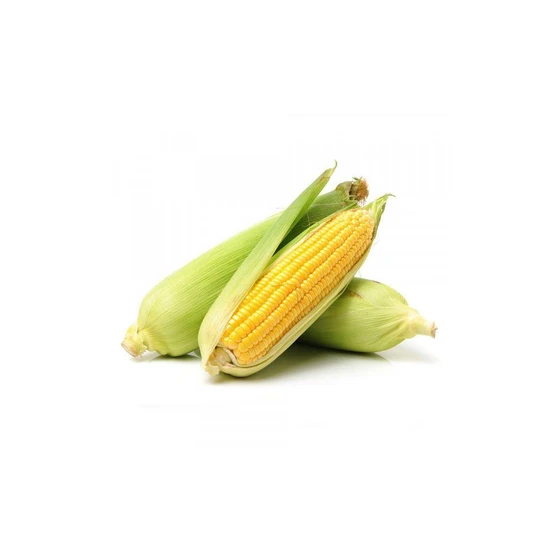 fresh-sweet-corn-1.webp