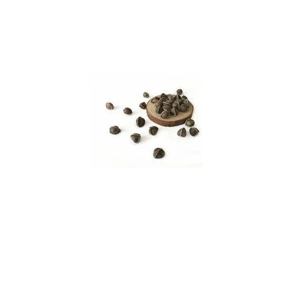 dried-moringa-seeds-2.webp