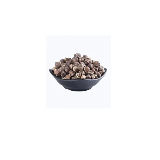 dried-drumstick-seed-2.webp