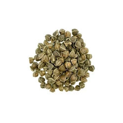Dried Drumstick Seed