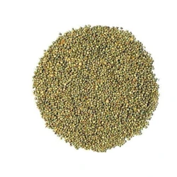 Organic Green Millet