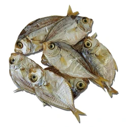 Fish Dried Items