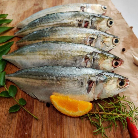 indian-mackerel-fish-1.webp