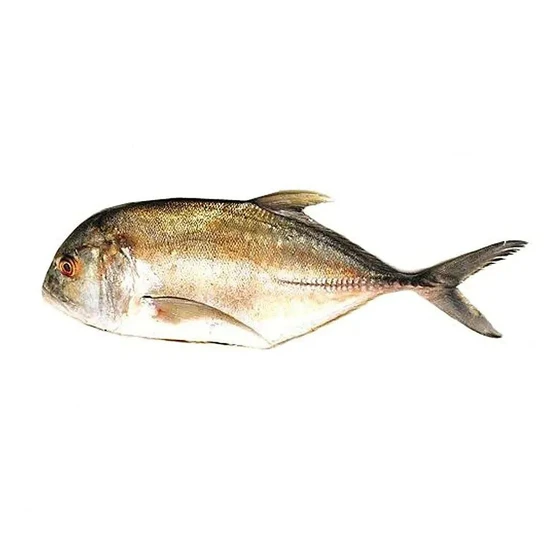 fresh-parai-fish-1.webp