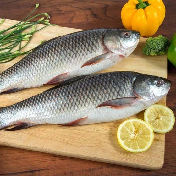 frozen-rohu-fish-2.webp