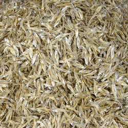 Small Dried Fish