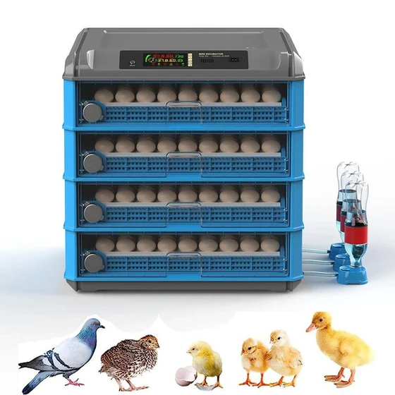 quail-egg-incubator-2.webp