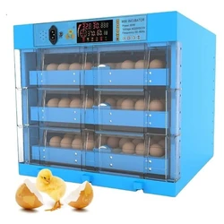 Quail Egg Incubator