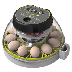 Chicken Egg Incubator