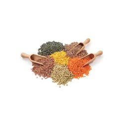 Organic Pulses