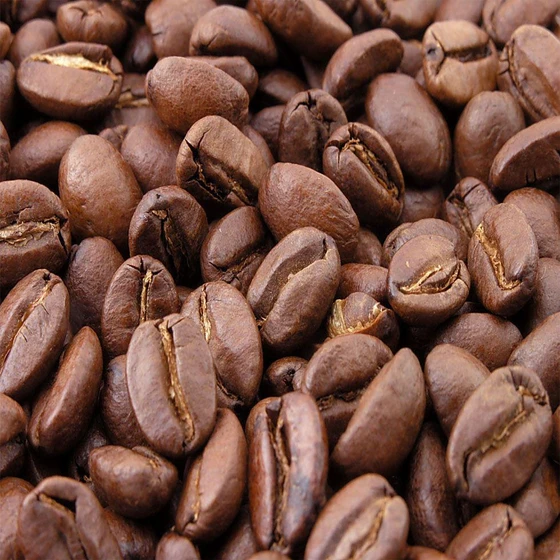 coffee-seed-1.webp