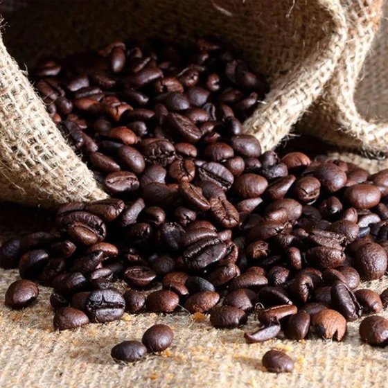 coffee-seed-2.webp