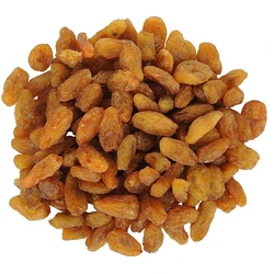 Golden Oval Raisin