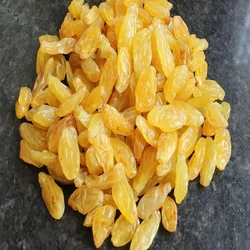 Golden Sweet Raisin