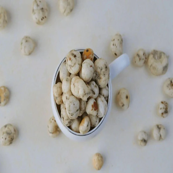 natural-premium-makhana-2.webp