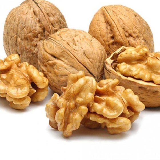 dry-fruit-walnut-1.webp