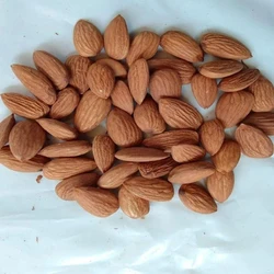 Brown Almond Nuts