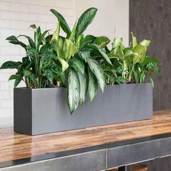 frp-recta-planter-2.webp