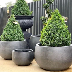Belly Garden Planter