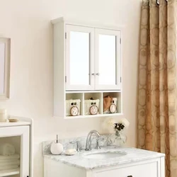 Rectangular Mirror Cabinet