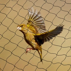 Black Anti Bird Netting HDPE Material