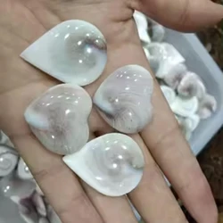 Natural White Shell Stone