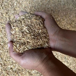 Organic Rice Husk
