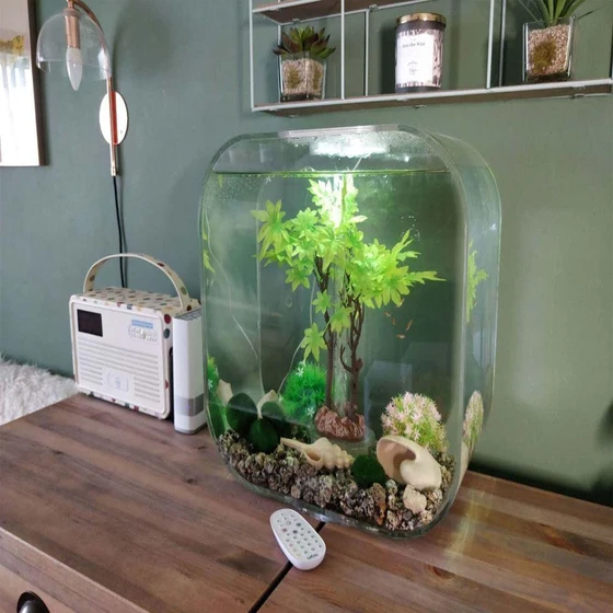 designer-fish-bowl-1.webp