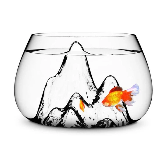 designer-fish-bowl-2.webp