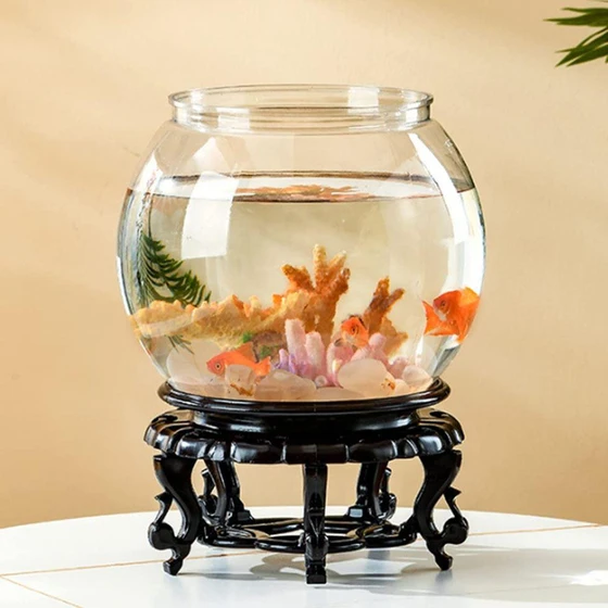 ball-glass-fish-bowl-2.webp