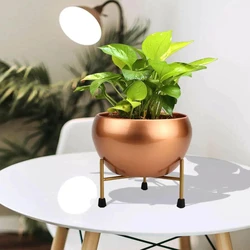 Decorative Metal Planter