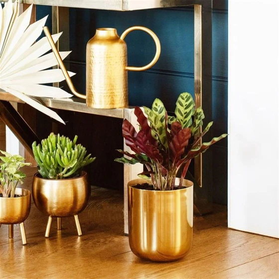 polished-metal-planter-2.webp