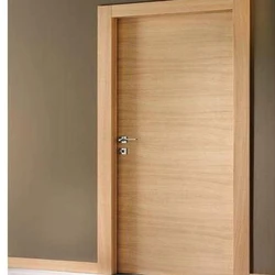 Home Flush Door