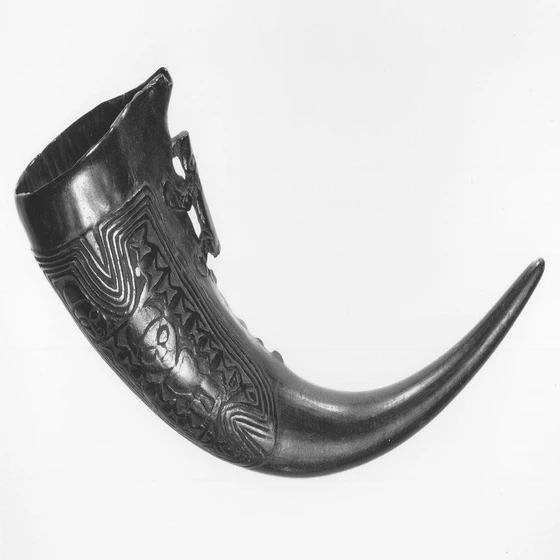 black-horn-drinking-2.webp