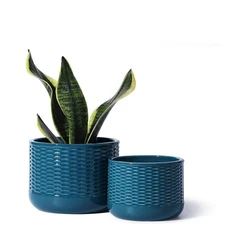 Ceramic plant pots
