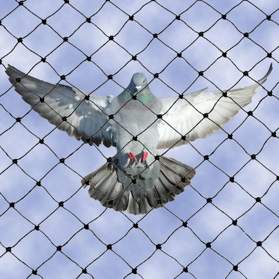 pigeon-protection-net-2.webp